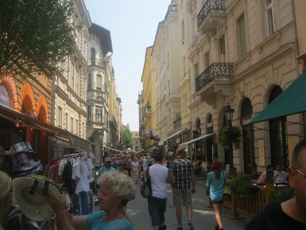 Classical Apartment In Downtown Budapesta